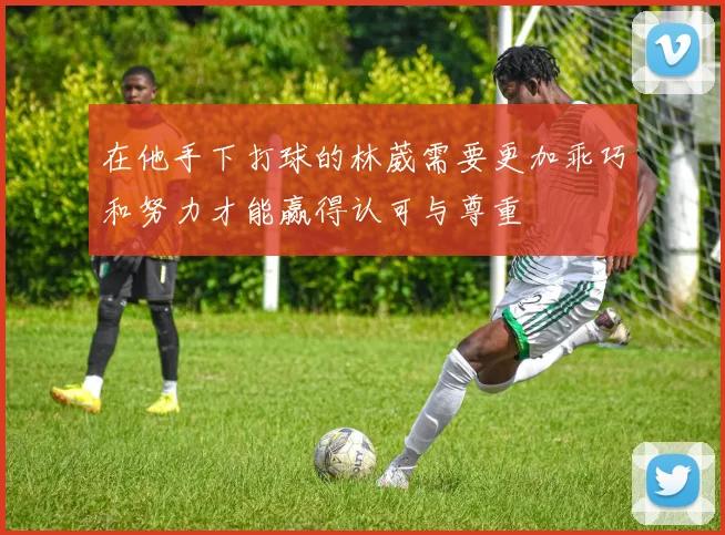 在他手下打球的林葳需要更加乖巧和努力才能赢得认可与尊重